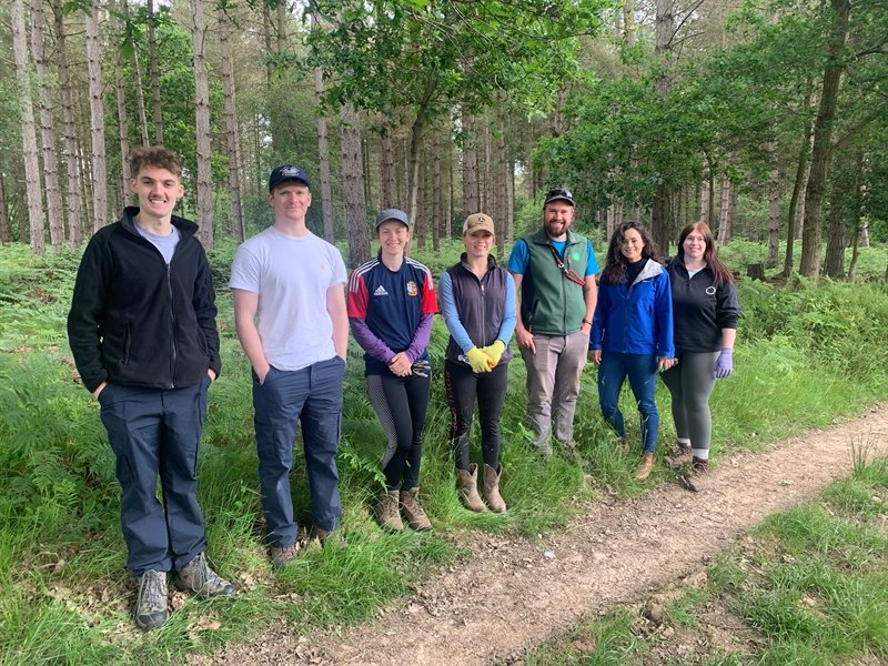 Colleagues volunteering to support Heart of England Forrest