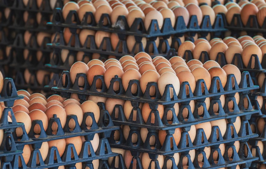 Advising shareholders of Sunrise Group on disposal to private equity-backed Agrova International