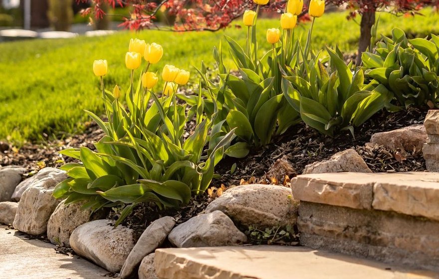 New Homes Quality Board case study: Unexpected addition of steps