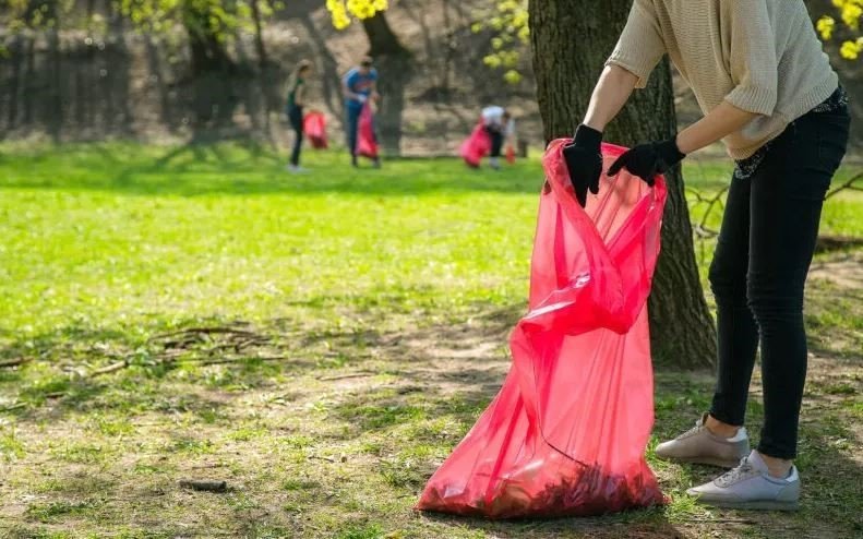 Photo of litter picking