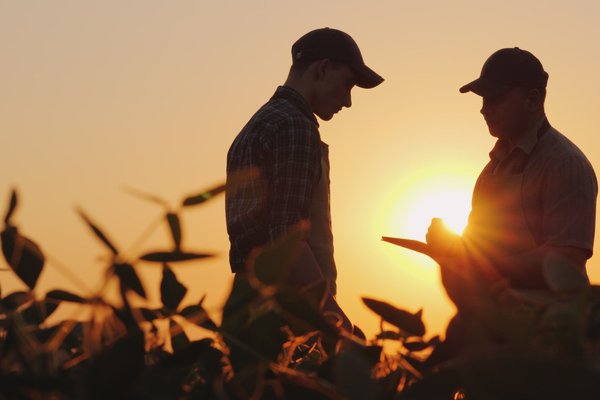 Corporate update: the latest corporate law developments February 2026