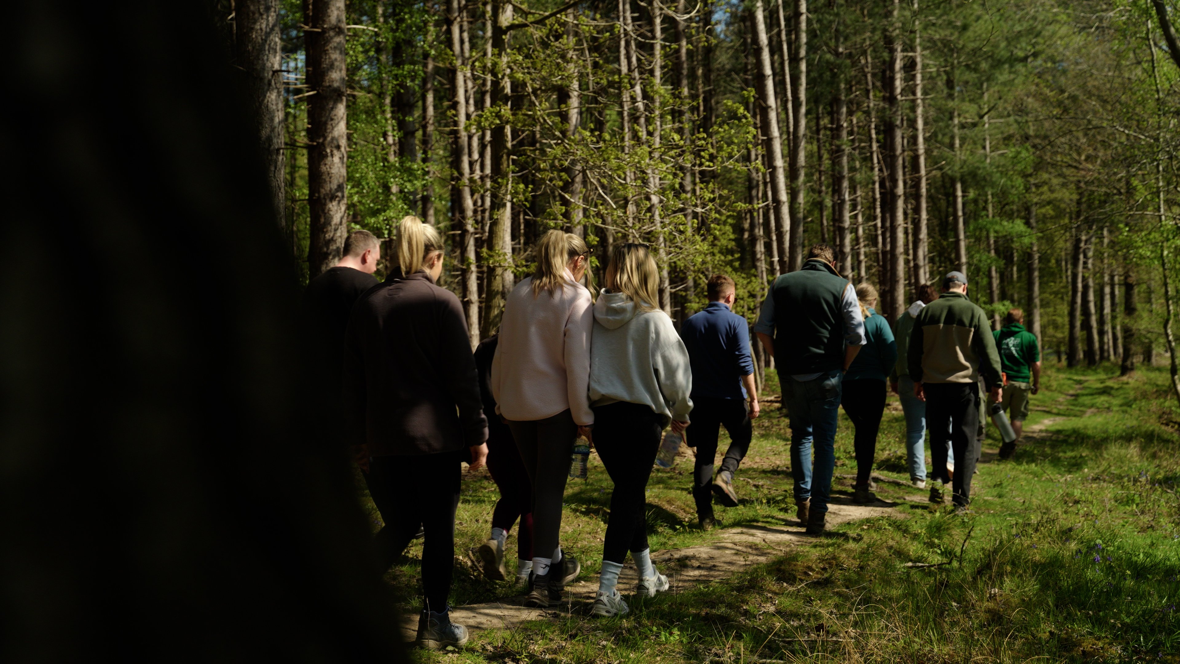The team walking through the woods