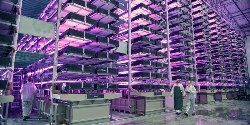 IP commercialisation