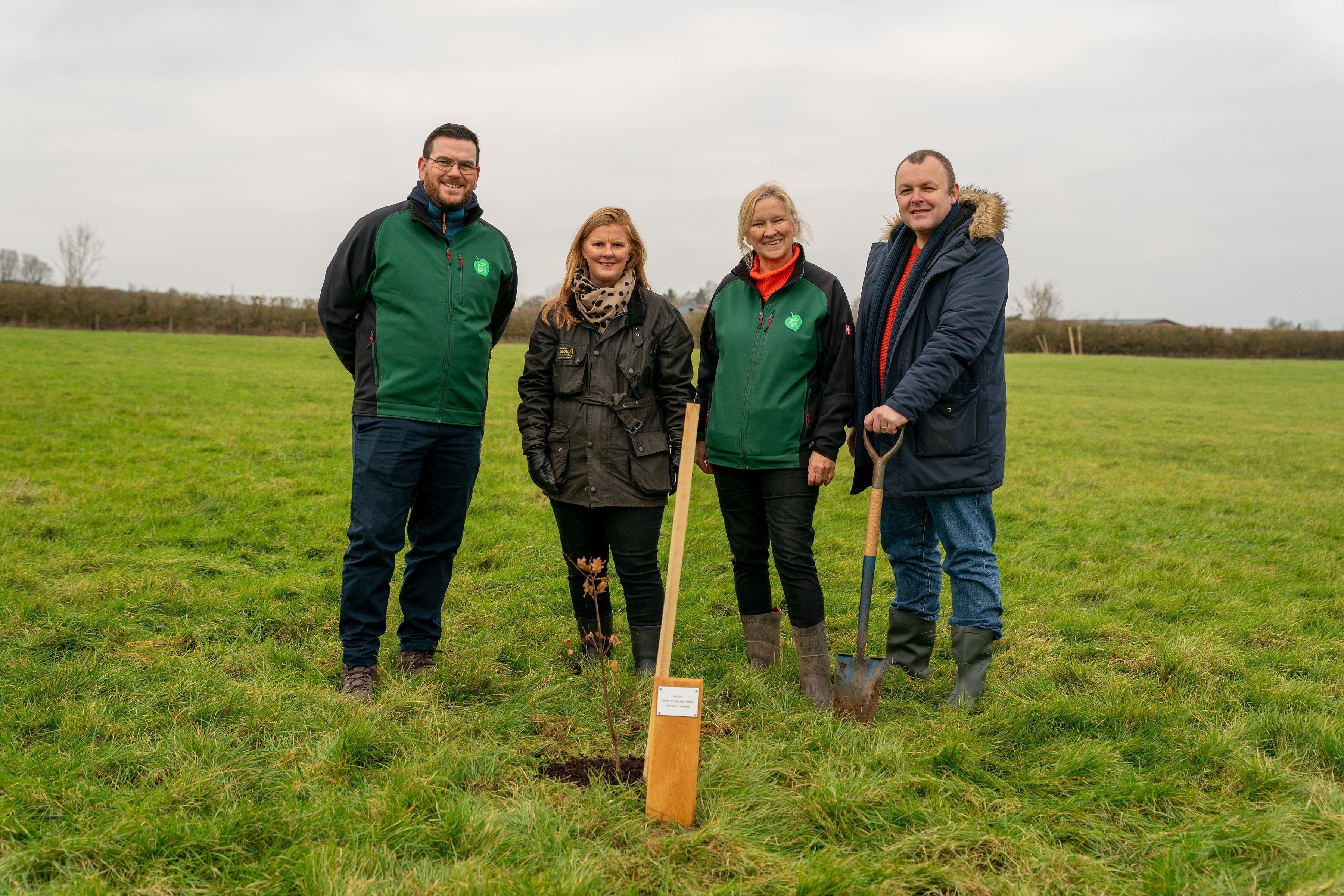 Image of tree planting activity
