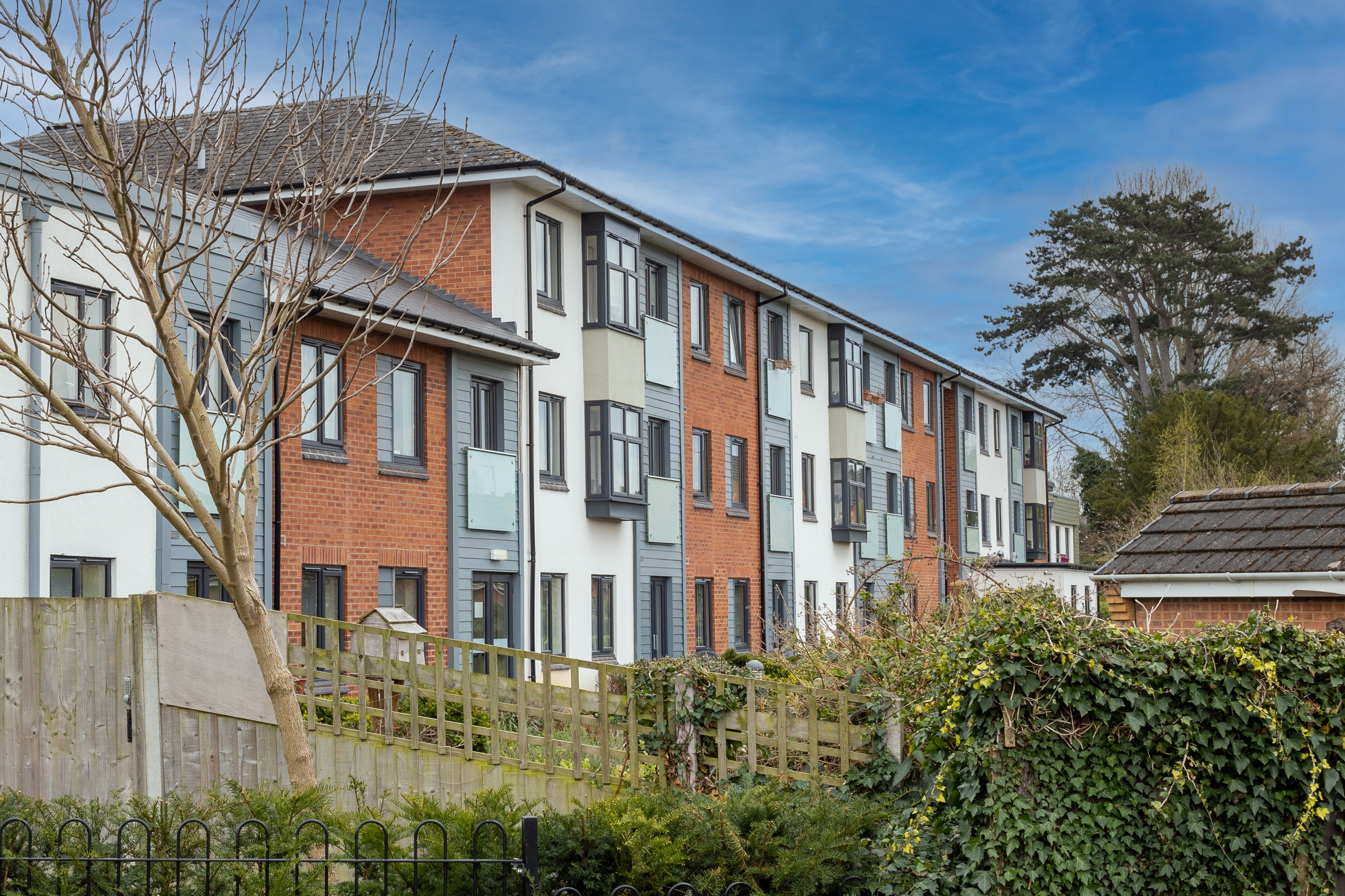 Photo of Brooklands Gardens project