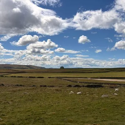 Photo from Go Walking with Gateley 2026