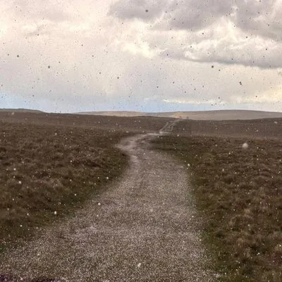 Photo from Go Walking with Gateley 2026