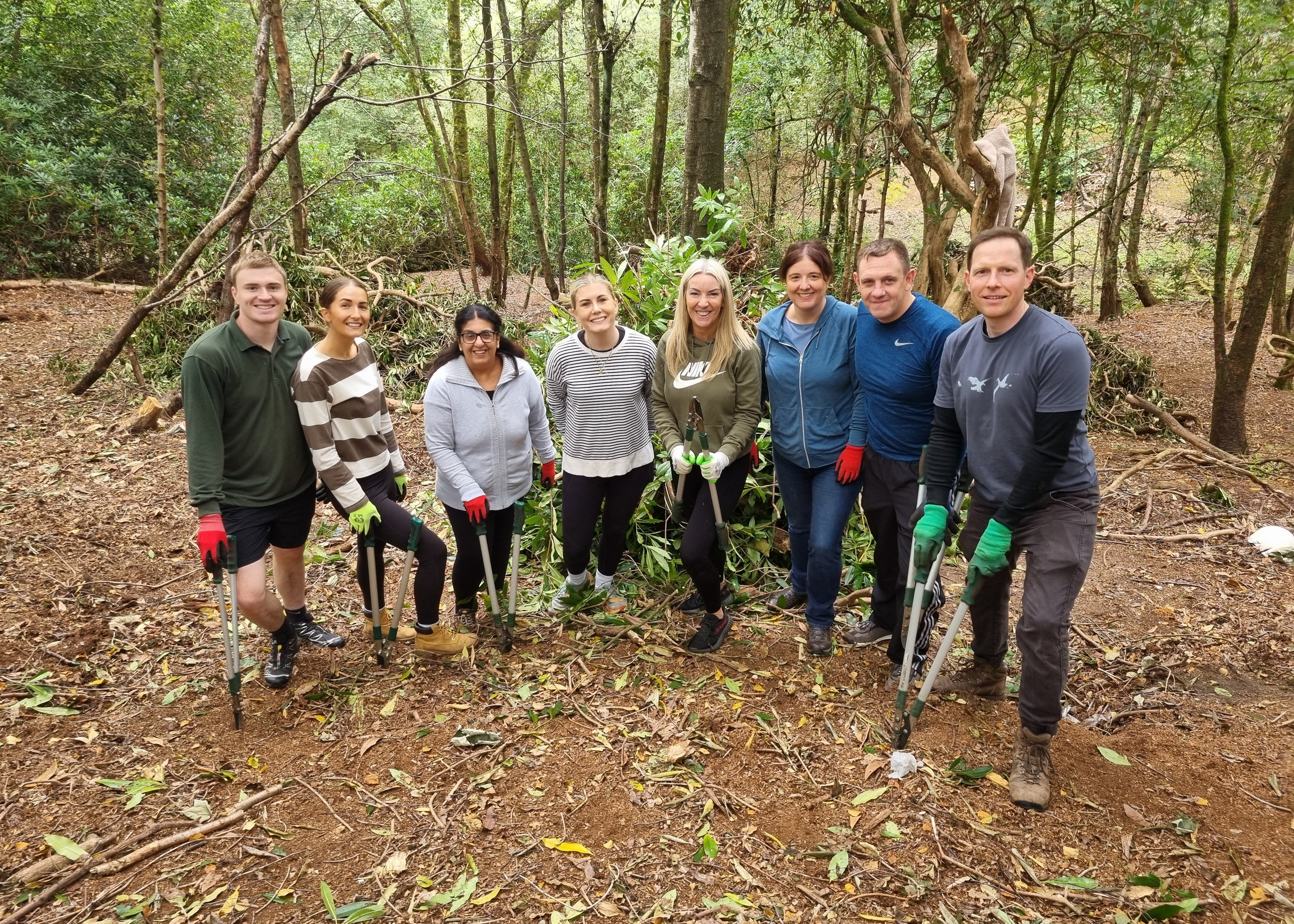 The team in the woods with their removal tools