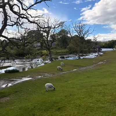 Photo from Go Walking with Gateley 2026
