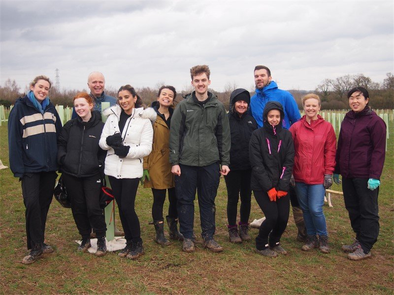 Photo of colleagues planting trees
