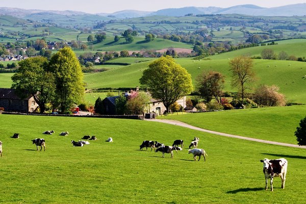 Advising the shareholders of Optifarm Ltd on its cross-border sale to Munters