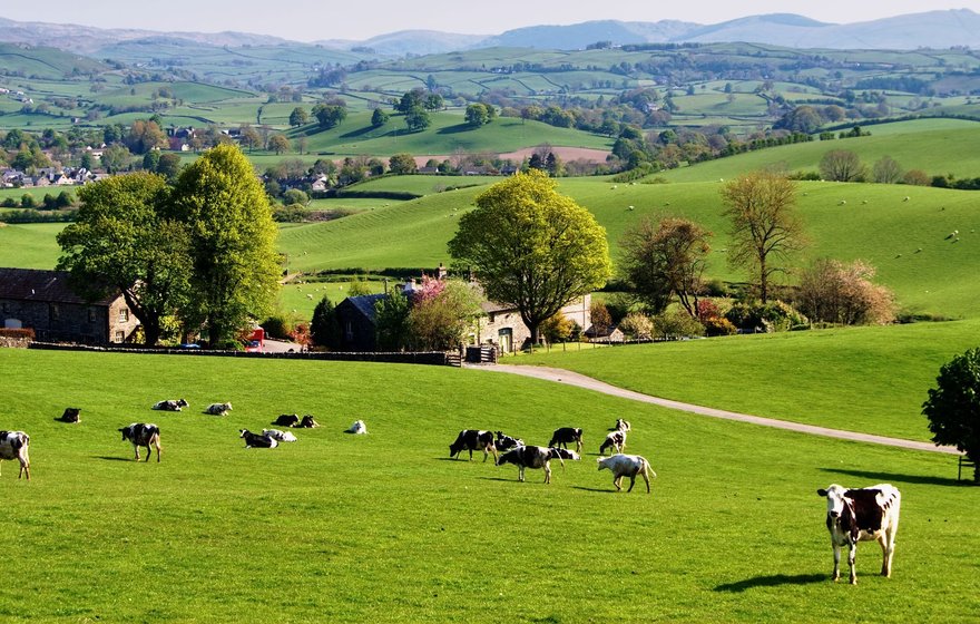 Advising the shareholders of Optifarm Ltd on its cross-border sale to Munters